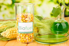 Lower Tean biofuel availability