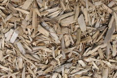biomass boilers Lower Tean